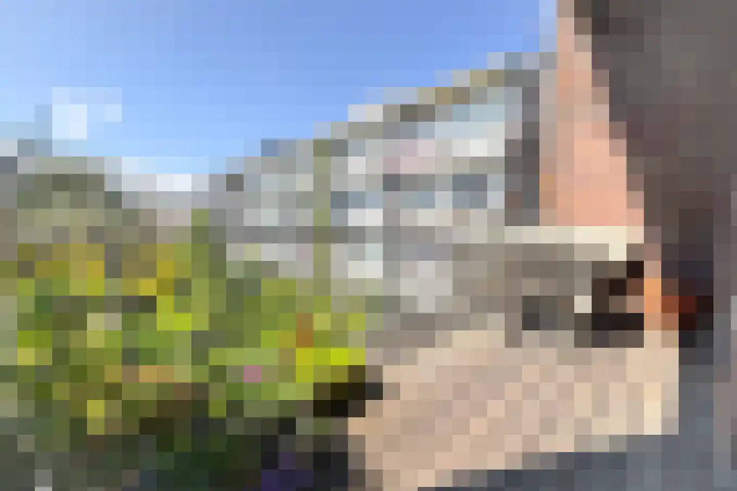 Waalstraat 6 2 Amsterdam thumbnail 20