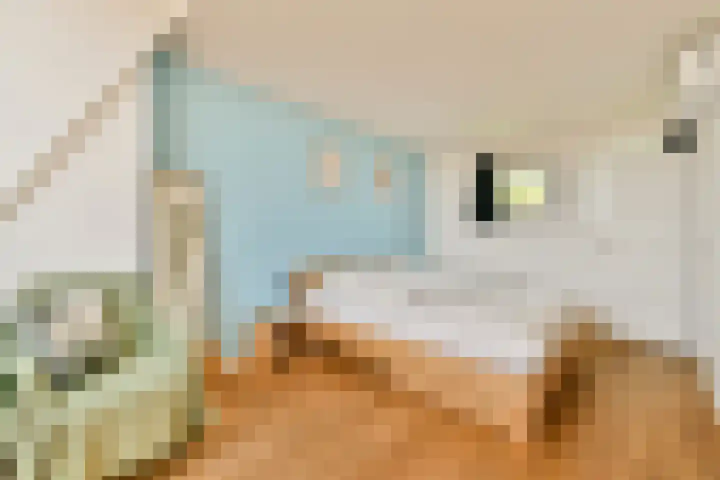 Waalstraat 6 2 Amsterdam thumbnail 36