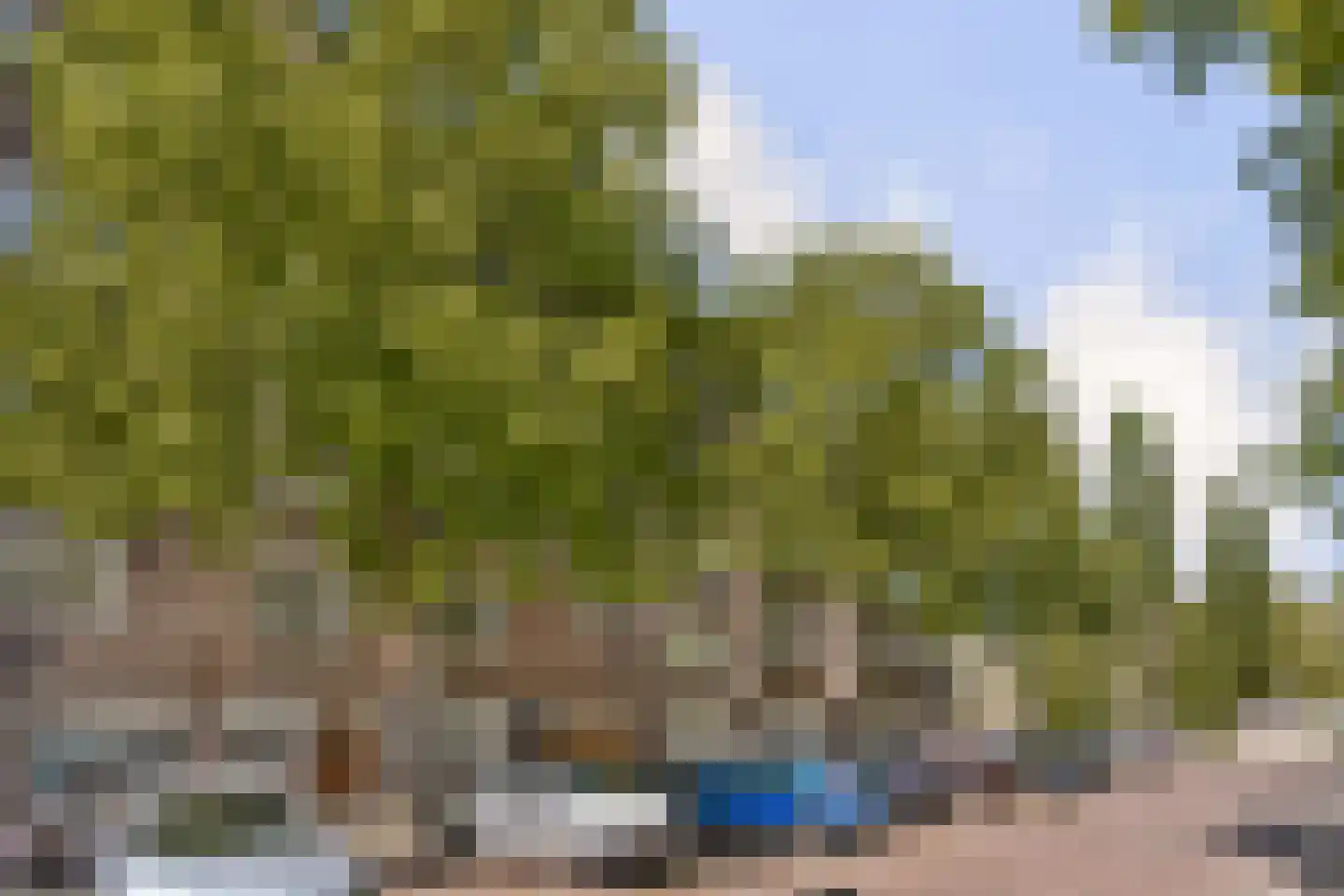 Waalstraat 6 2 Amsterdam thumbnail 5