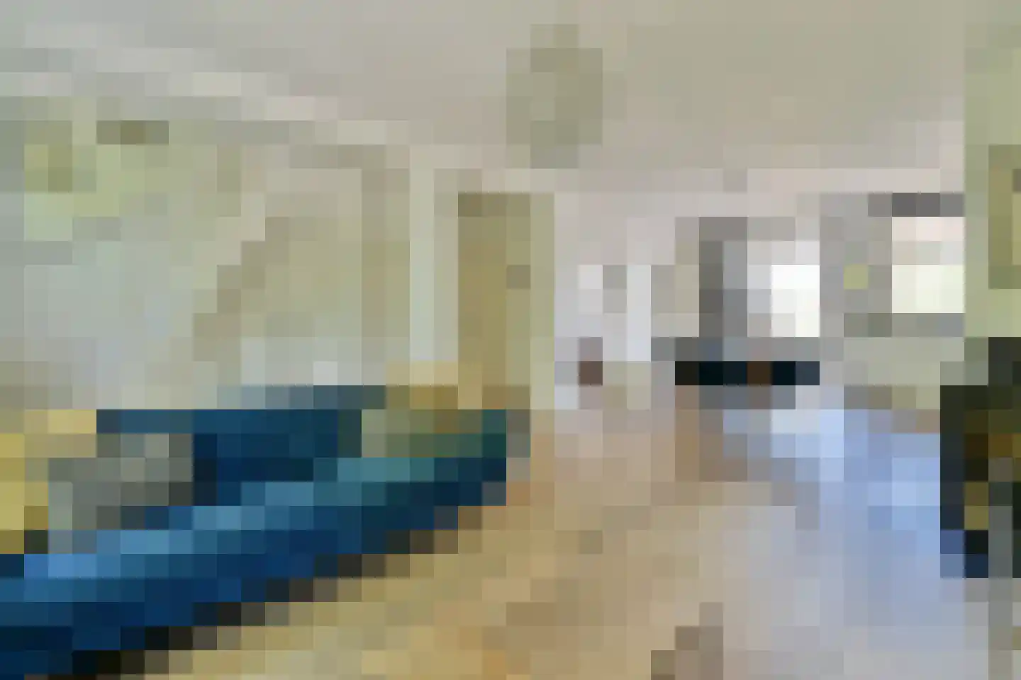 Waalstraat 6 2 Amsterdam thumbnail 8
