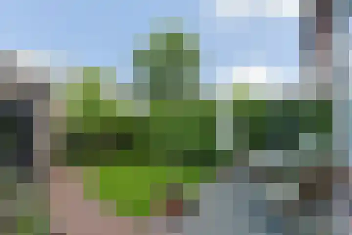 Waalstraat 6 Alphen aan den Rijn thumbnail 56