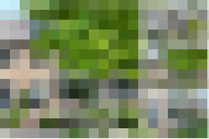 Waalstraat 6 Alphen aan den Rijn thumbnail 6