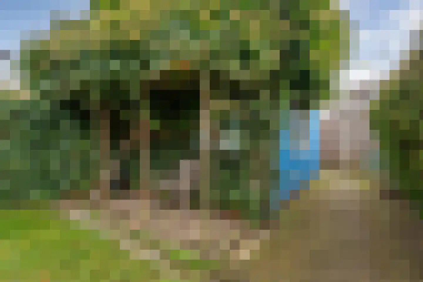 Waalstraat 6 Nijverdal thumbnail 28