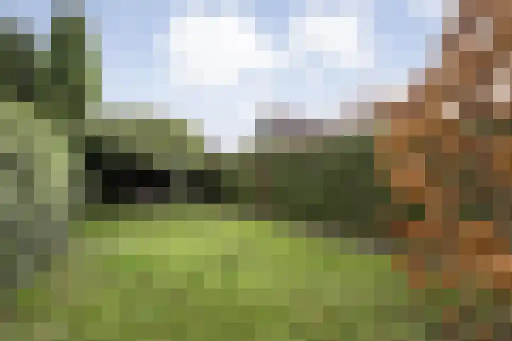 Waalstraat 6 Nijverdal thumbnail 32