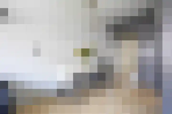 Waalstraat 68 Beverwijk thumbnail 11