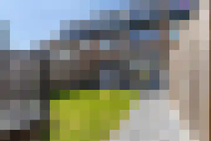 Waalstraat 69 Apeldoorn thumbnail 23