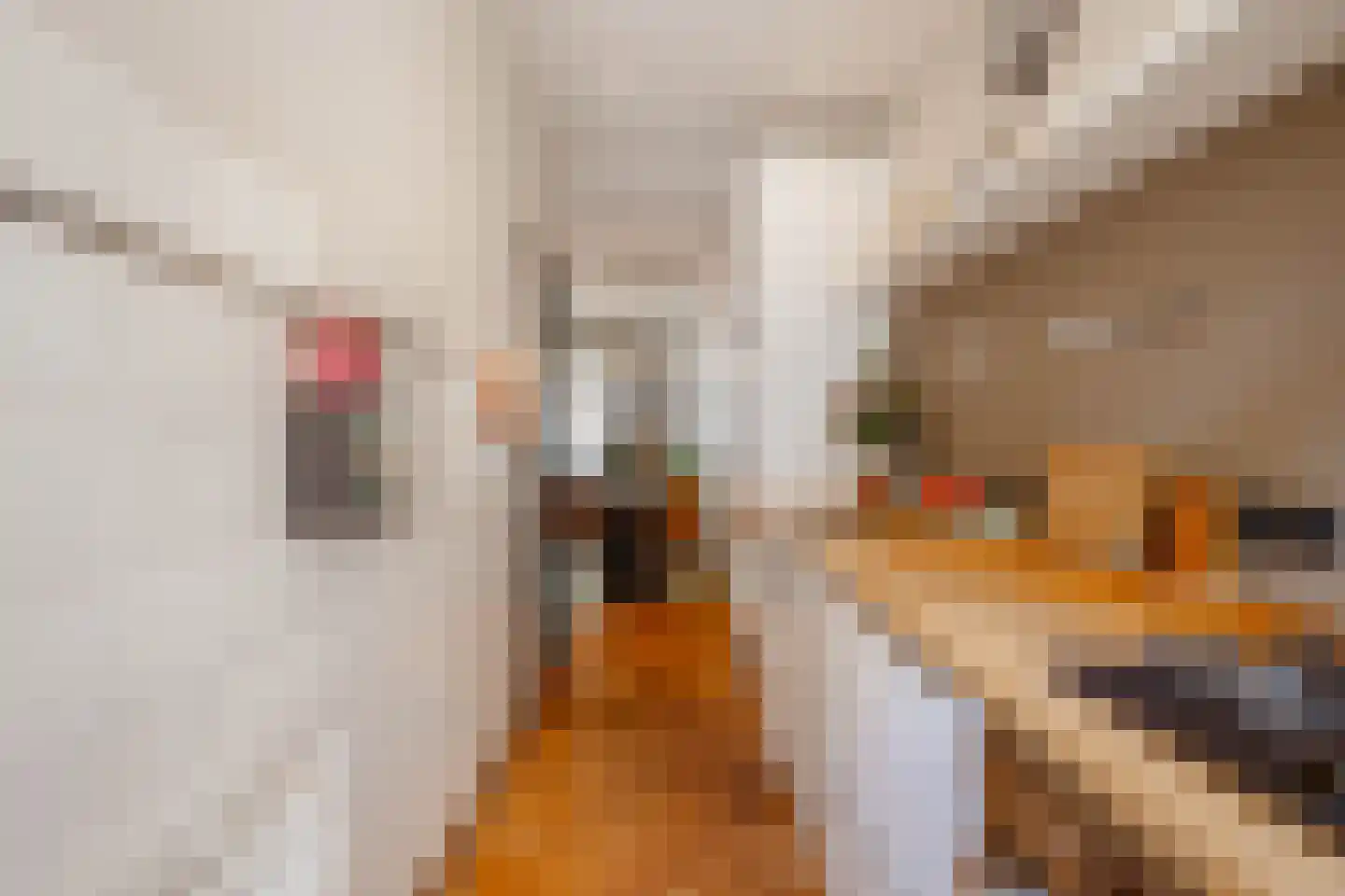 Waalstraat 69 H Amsterdam thumbnail 11