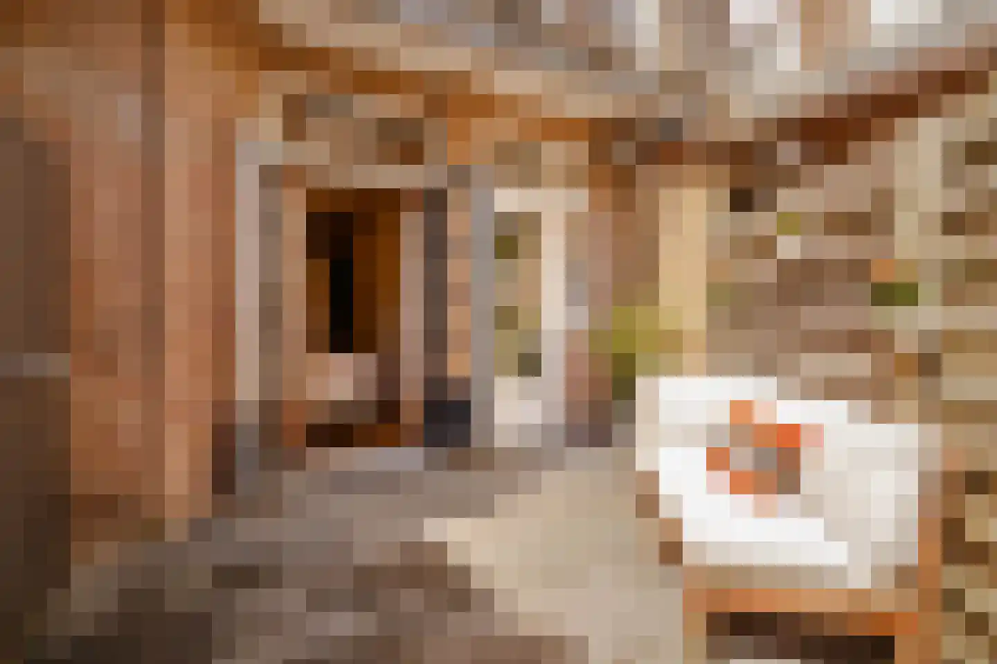 Waalstraat 69 H Amsterdam thumbnail 22