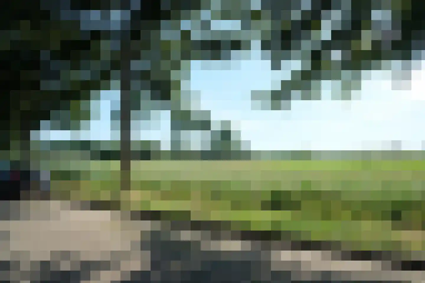 Waalstraat 7 Enspijk thumbnail 13