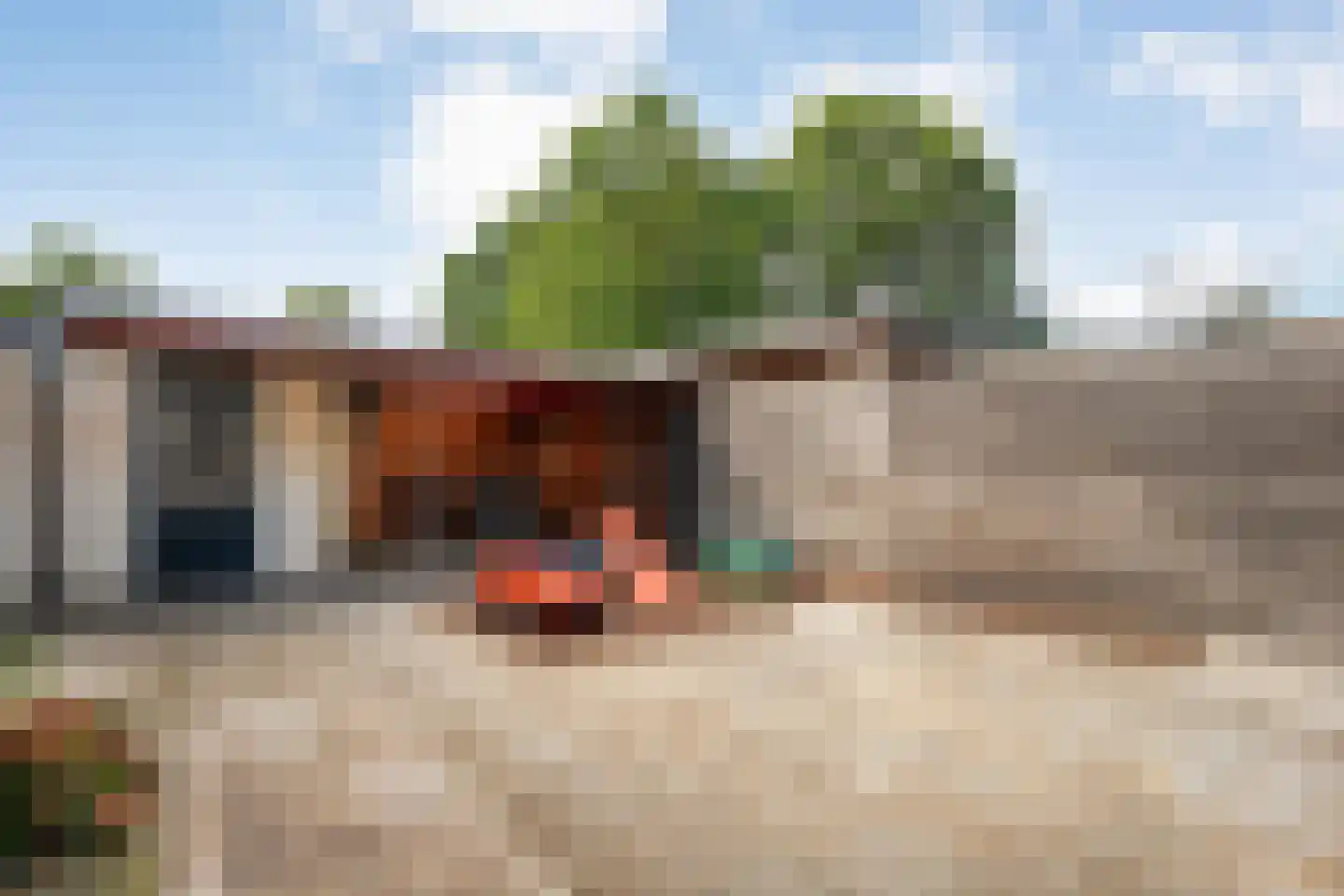 Waalstraat 7 Nijverdal thumbnail 32