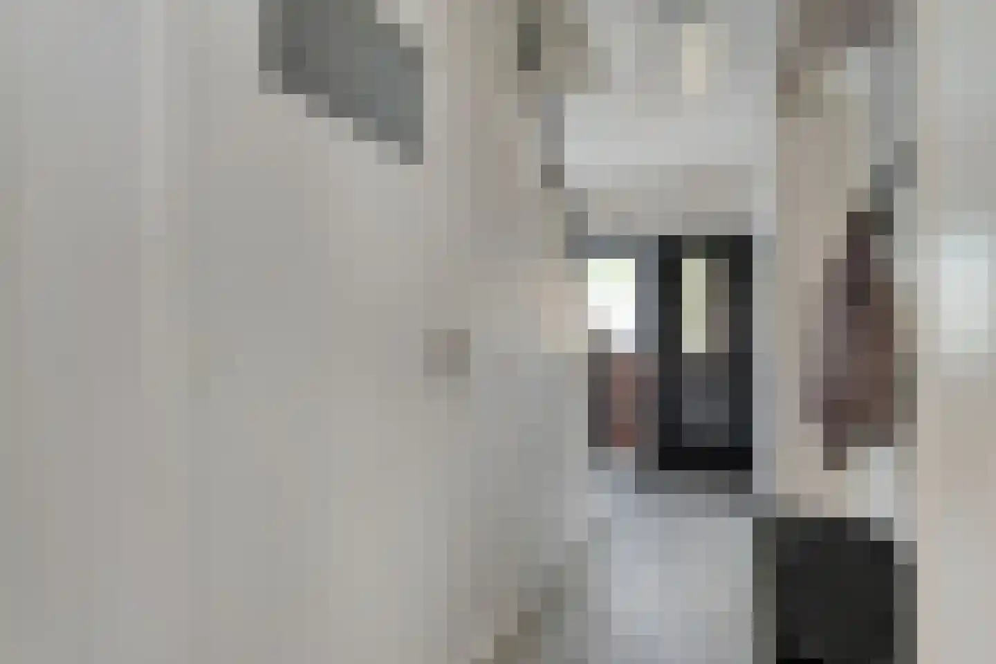 Waalstraat 7 Nijverdal thumbnail 6