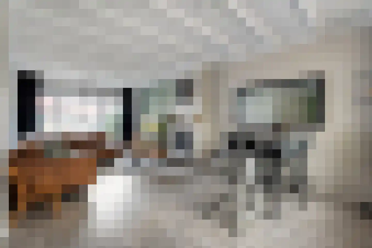 Waalstraat 7 Nijverdal thumbnail 9