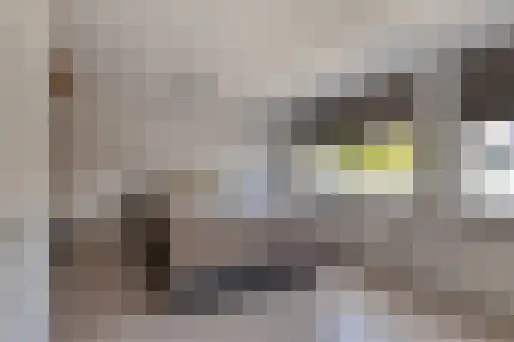 Waalstraat 7 Rozenburg thumbnail 12
