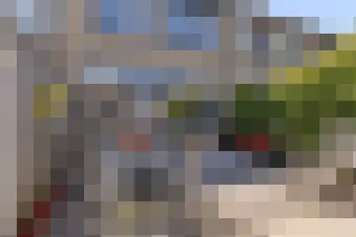 Waalstraat 7 Rozenburg thumbnail 21