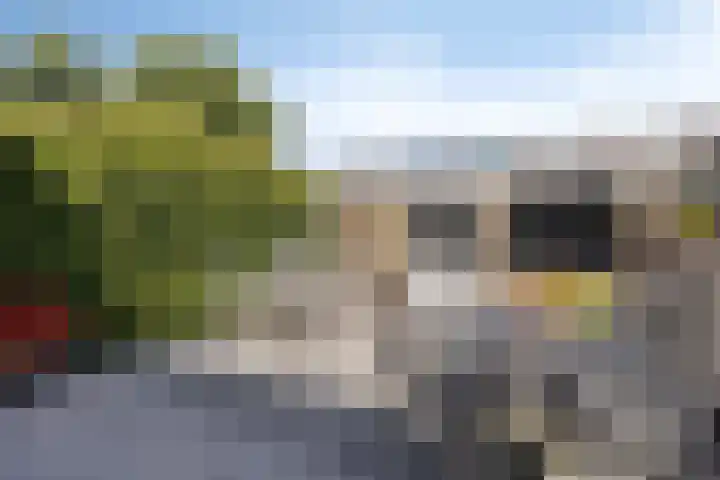 Waalstraat 7 Rozenburg thumbnail 22