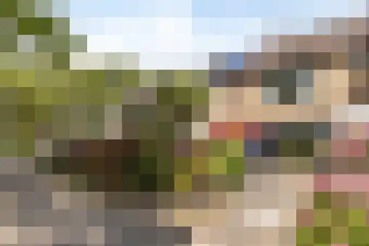 Waalstraat 7 Rozenburg thumbnail 5