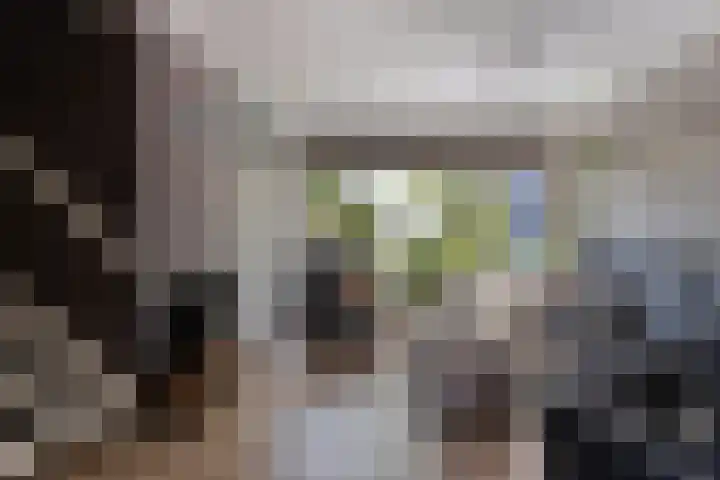 Waalstraat 7 Rozenburg thumbnail 7