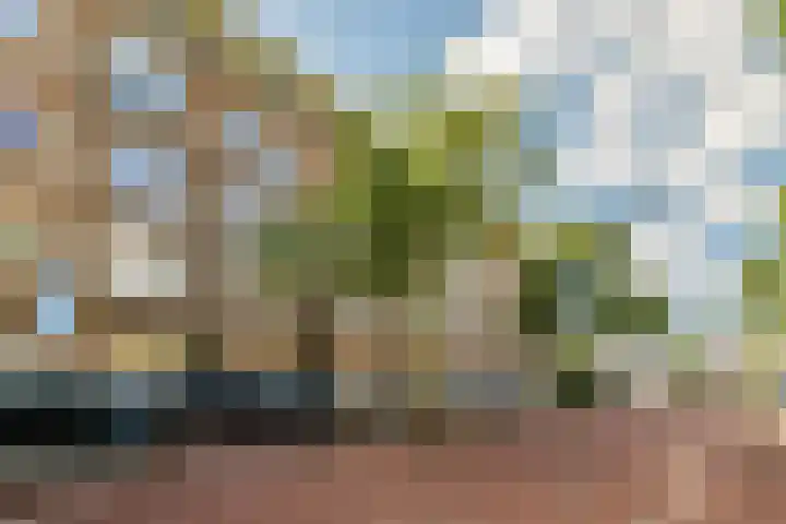 Waalstraat 72 3 Amsterdam thumbnail 37