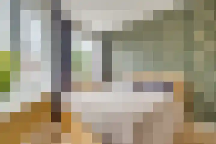 Waalstraat 77 Utrecht thumbnail 20