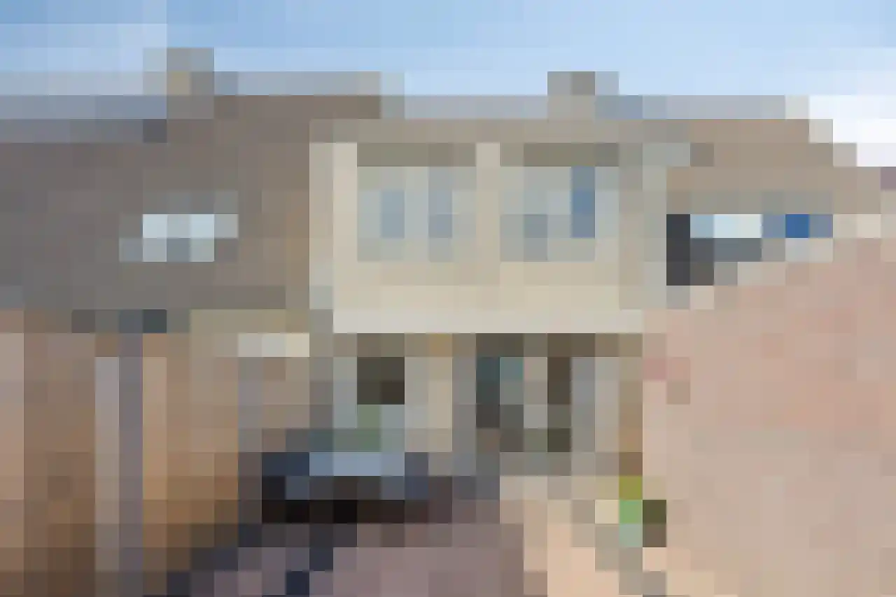 Waalstraat 78 Almere thumbnail 31