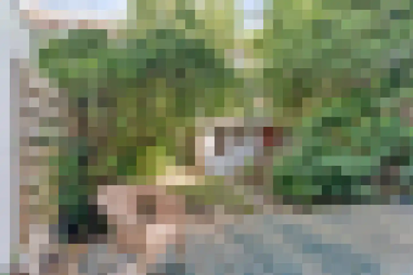Waalstraat 79 H Amsterdam thumbnail 26