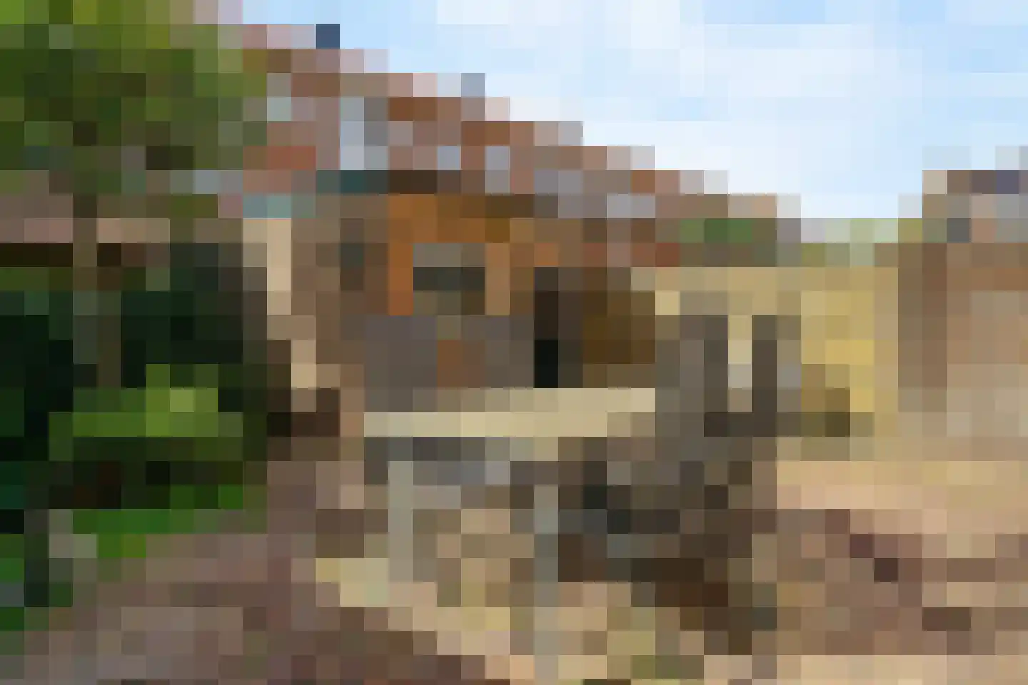Waalstraat 79 IJmuiden thumbnail 22