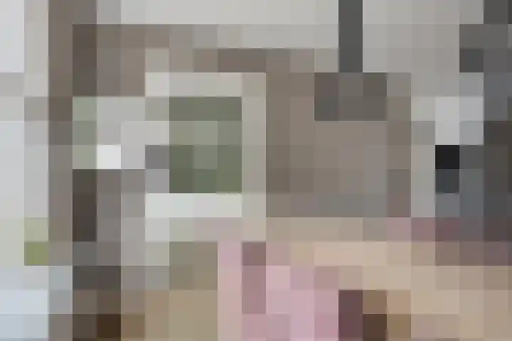Waalstraat 8 Maasdam thumbnail 11