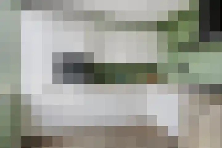 Waalstraat 8 Maasdam thumbnail 12