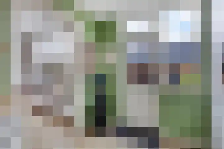 Waalstraat 8 Maasdam thumbnail 15