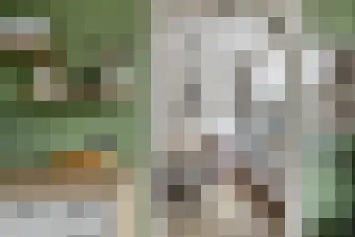 Waalstraat 8 Maasdam thumbnail 16