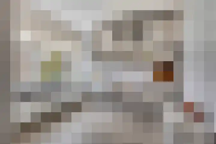 Waalstraat 8 Maasdam thumbnail 20