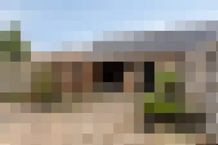 Waalstraat 8 Maasdam thumbnail 29