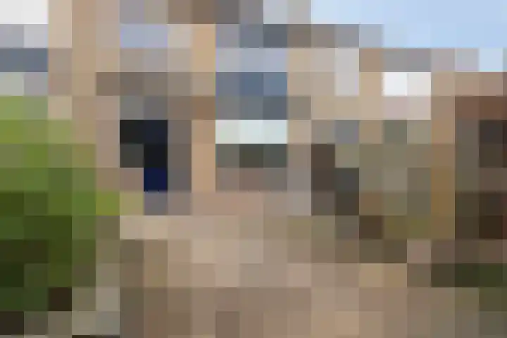 Waalstraat 8 Maasdam thumbnail 35
