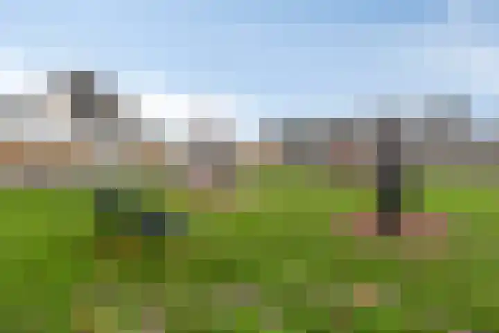 Waalstraat 8 Maasdam thumbnail 39