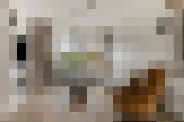 Waalstraat 8 Maasdam thumbnail 6