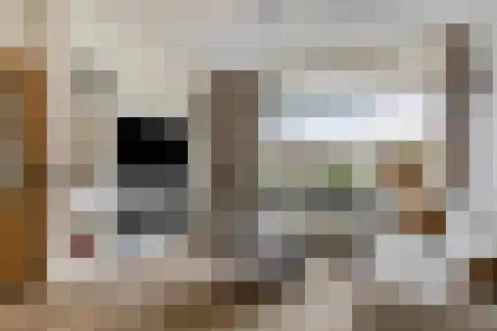 Waalstraat 8 Maasdam thumbnail 7