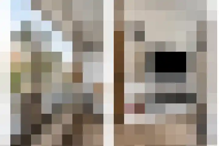 Waalstraat 8 Maasdam thumbnail 8