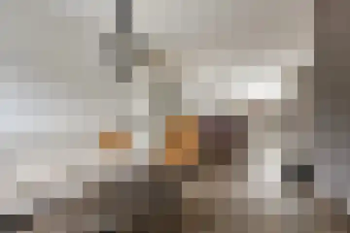Waalstraat 8 Maasdam thumbnail 9