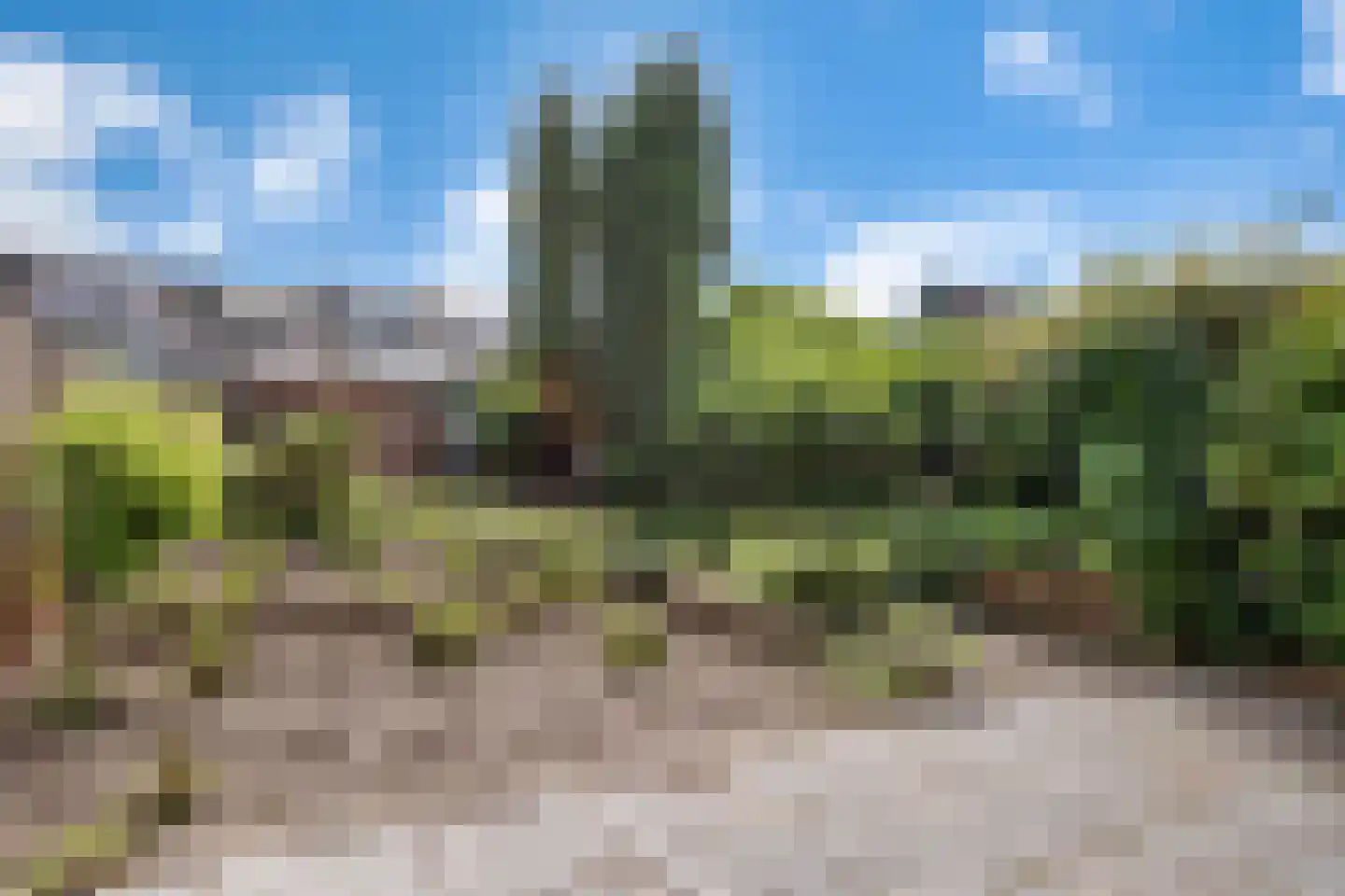 Waalstraat 8 Nijverdal thumbnail 20