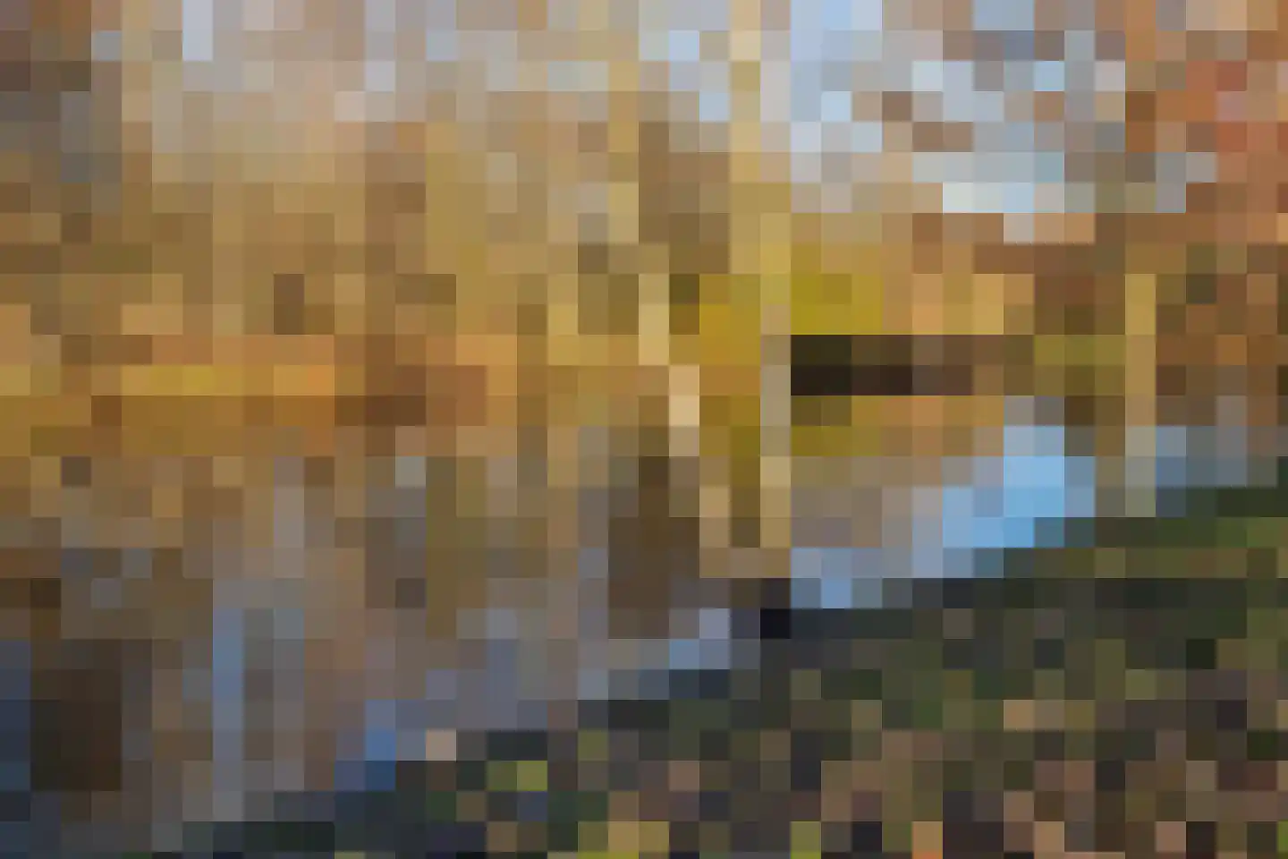 Waalstraat 8 Nijverdal thumbnail 24
