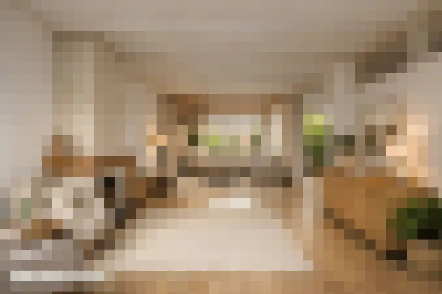 Waalstraat 8 Nijverdal thumbnail 4