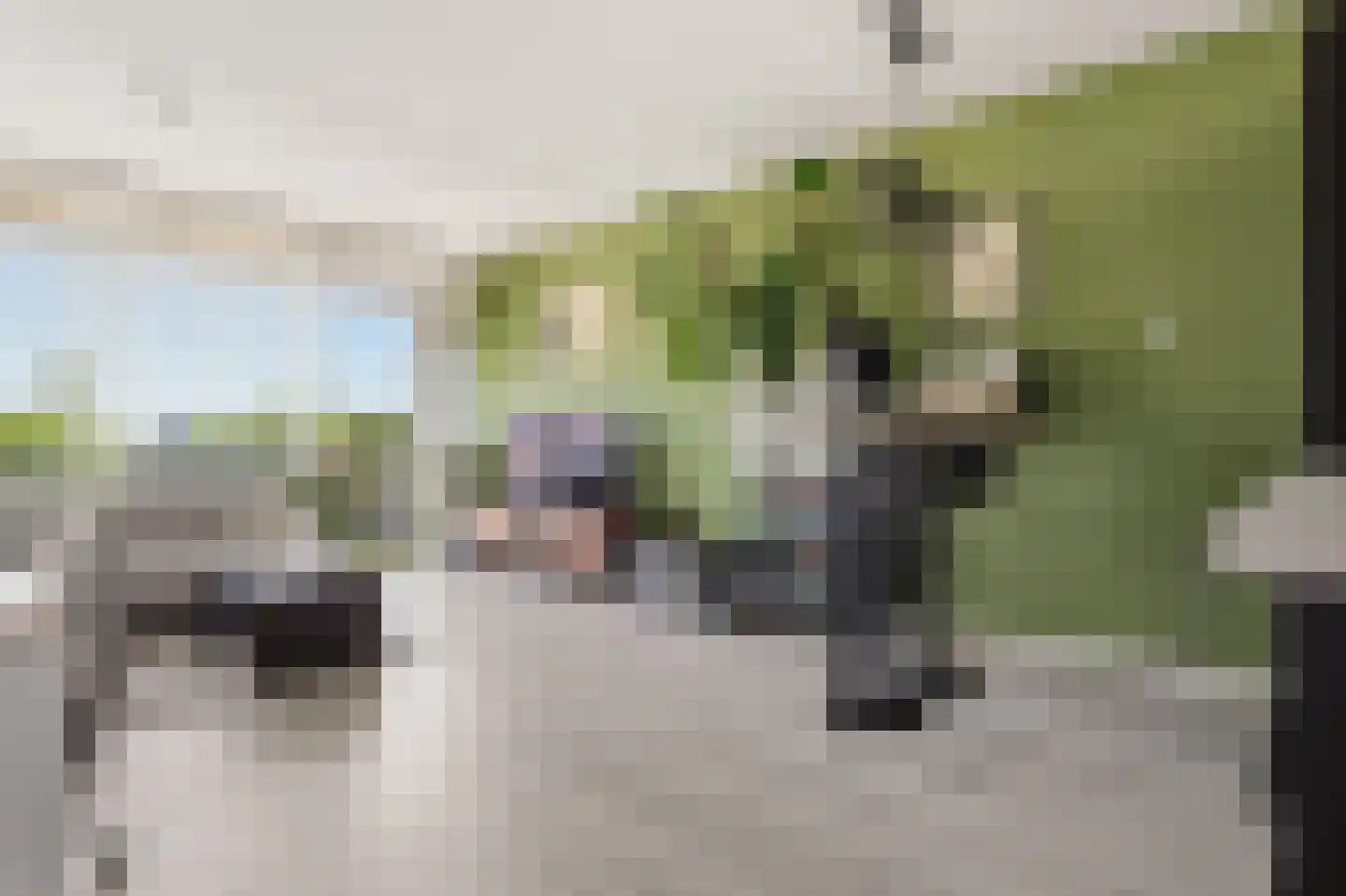 Waalstraat 84 Beverwijk thumbnail 10