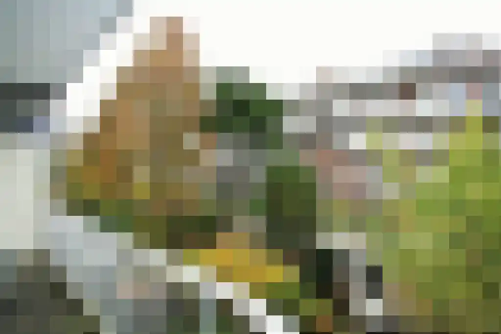 Waalstraat 89 H Amsterdam thumbnail 11