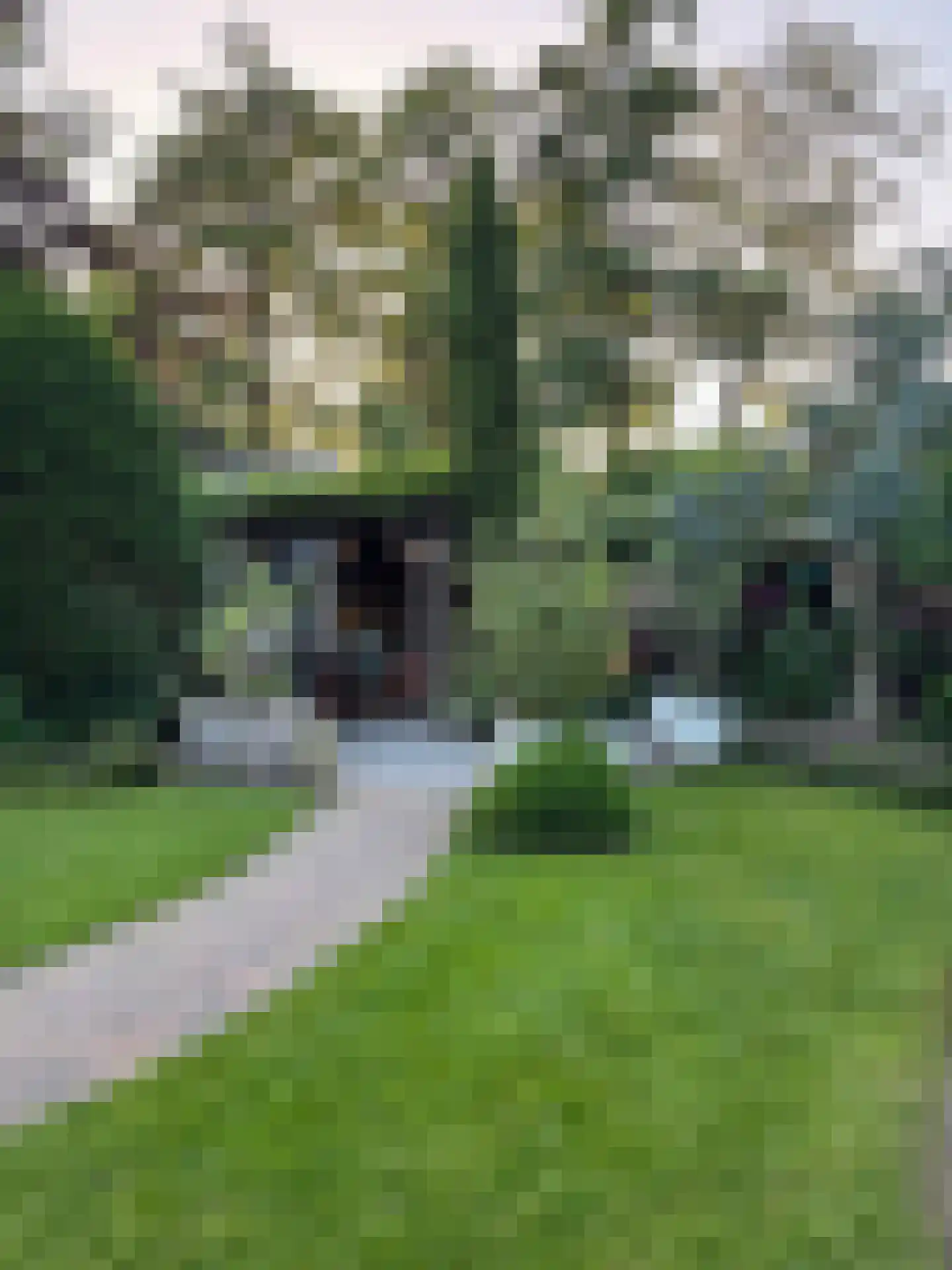 Waalstraat 99 Poortugaal thumbnail 49
