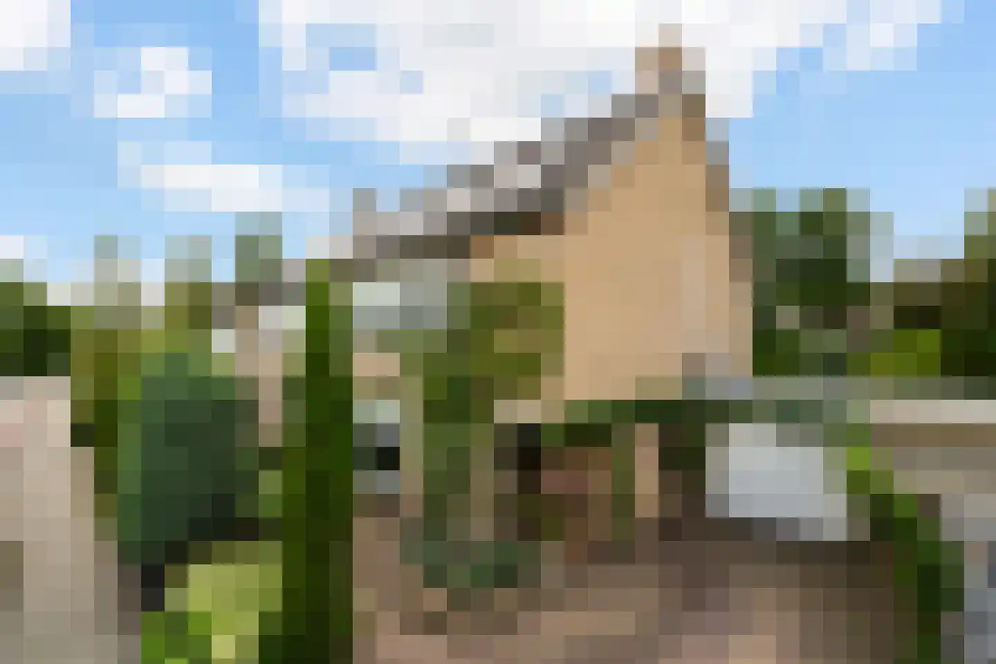 Waalstraat 99 Poortugaal thumbnail 5