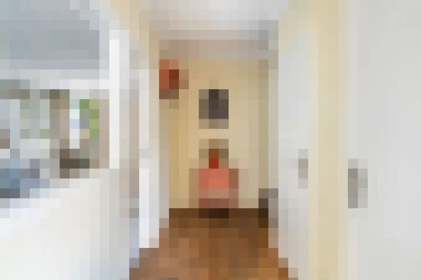 Waalstraat 99 Poortugaal thumbnail 8