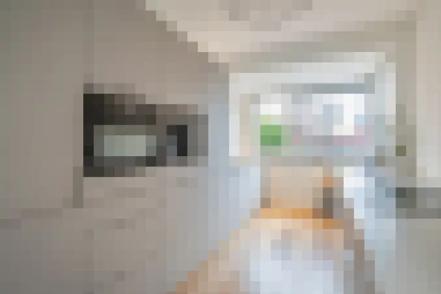 Waalstroom 13 Zoetermeer thumbnail 15