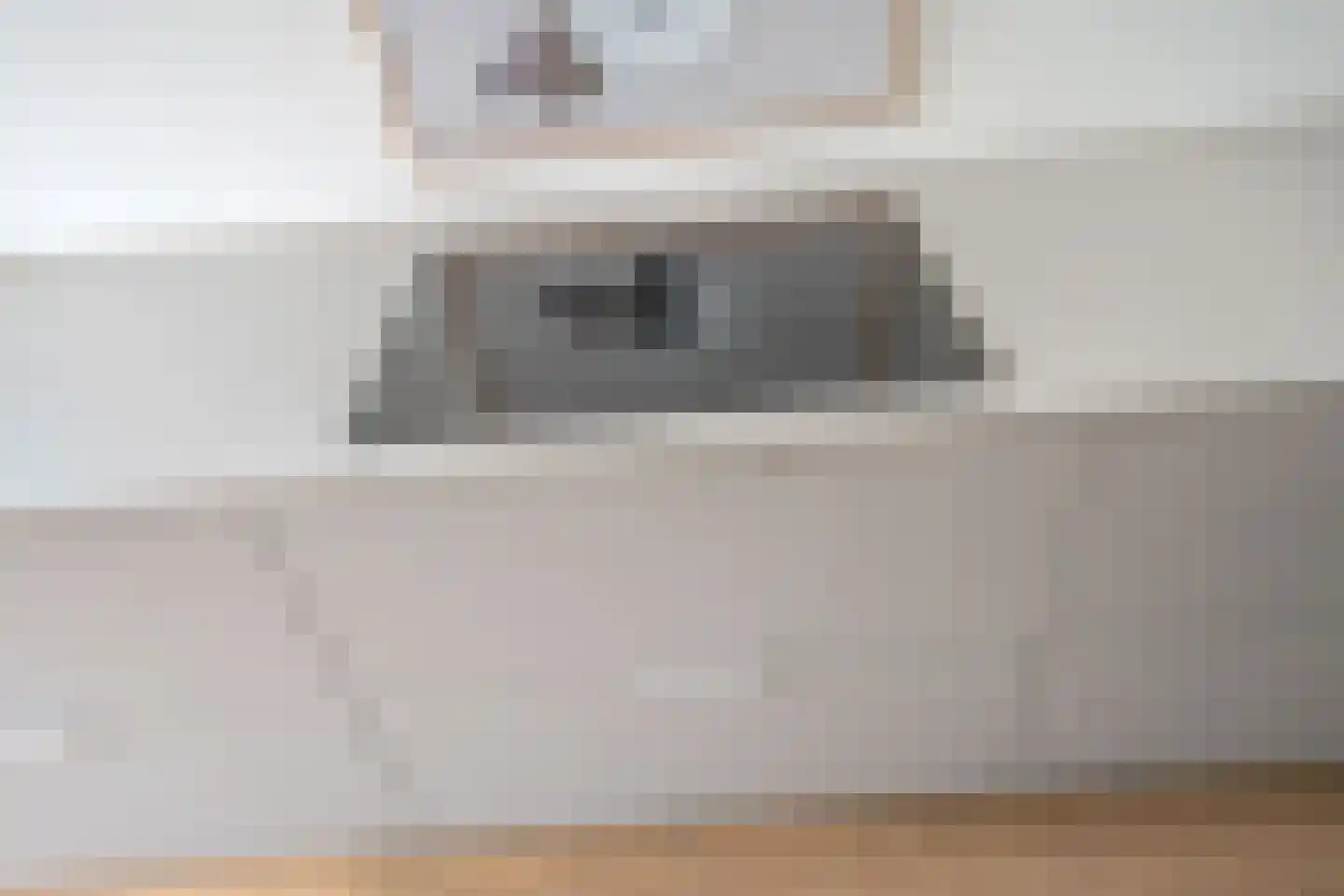 Waalstroom 13 Zoetermeer thumbnail 16