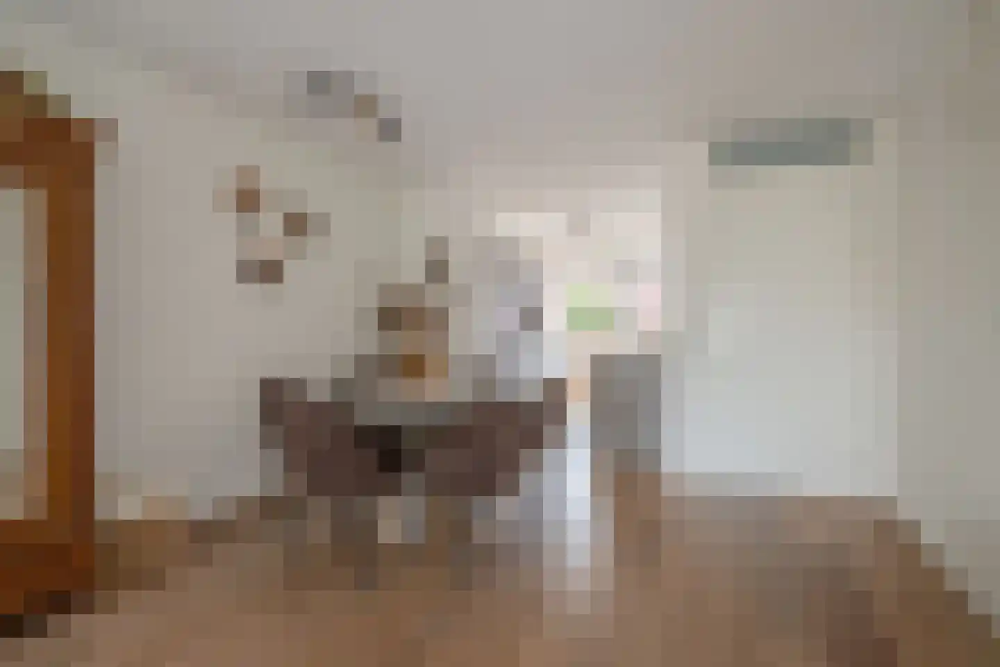Waalstroom 13 Zoetermeer thumbnail 18