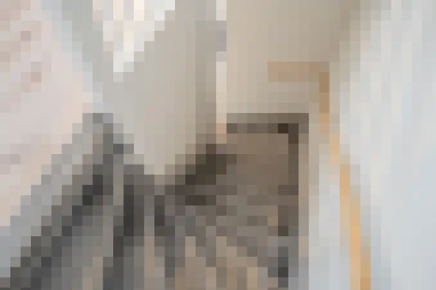 Waalstroom 13 Zoetermeer thumbnail 21